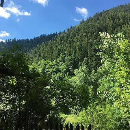 Yakusha - якуша, * Shiroka Lŭka