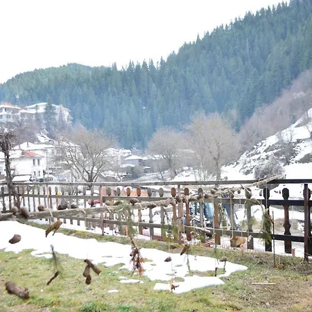 Yakusha - якуша, * Shiroka Lŭka