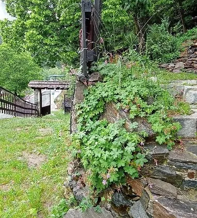 Ваканционна къща Yakusha - якуша, Широка лъка