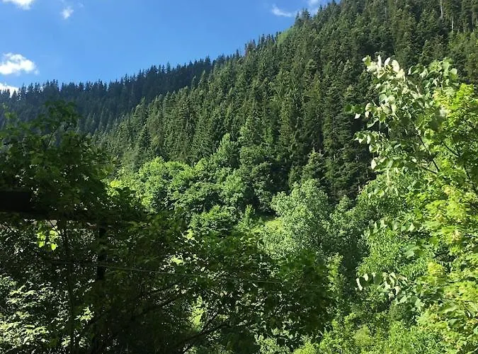 Yakusha - якуша, * Shiroka Luka (Smolyan)
