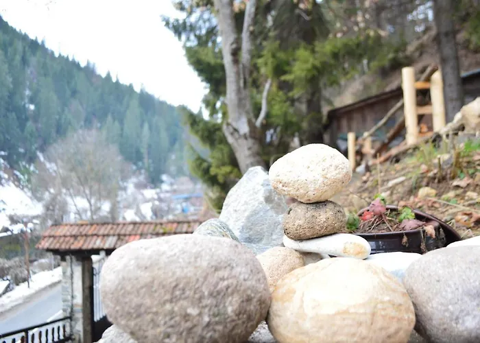 Yakusha - якуша, Holiday home